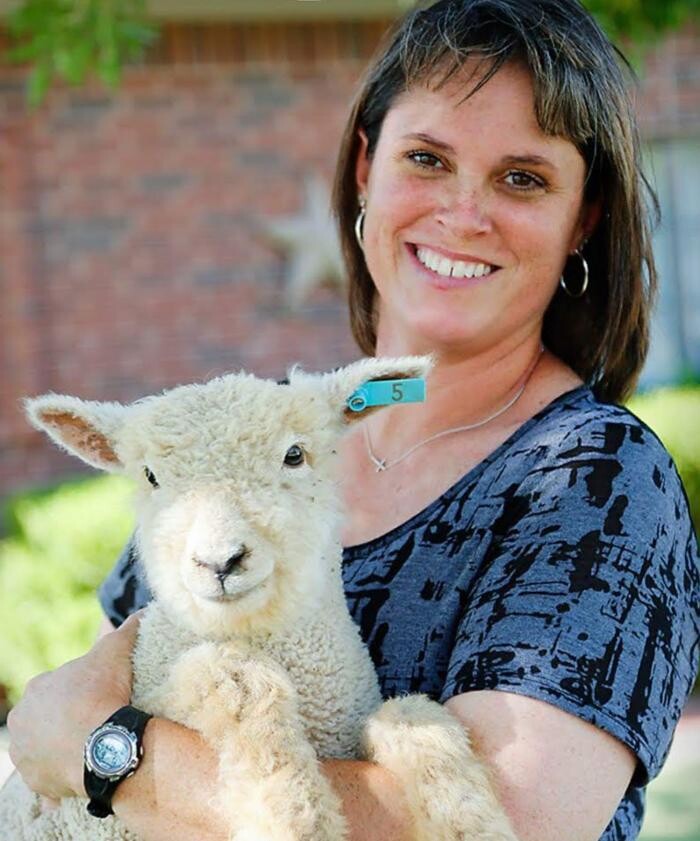 Images Highland Animal Hospital