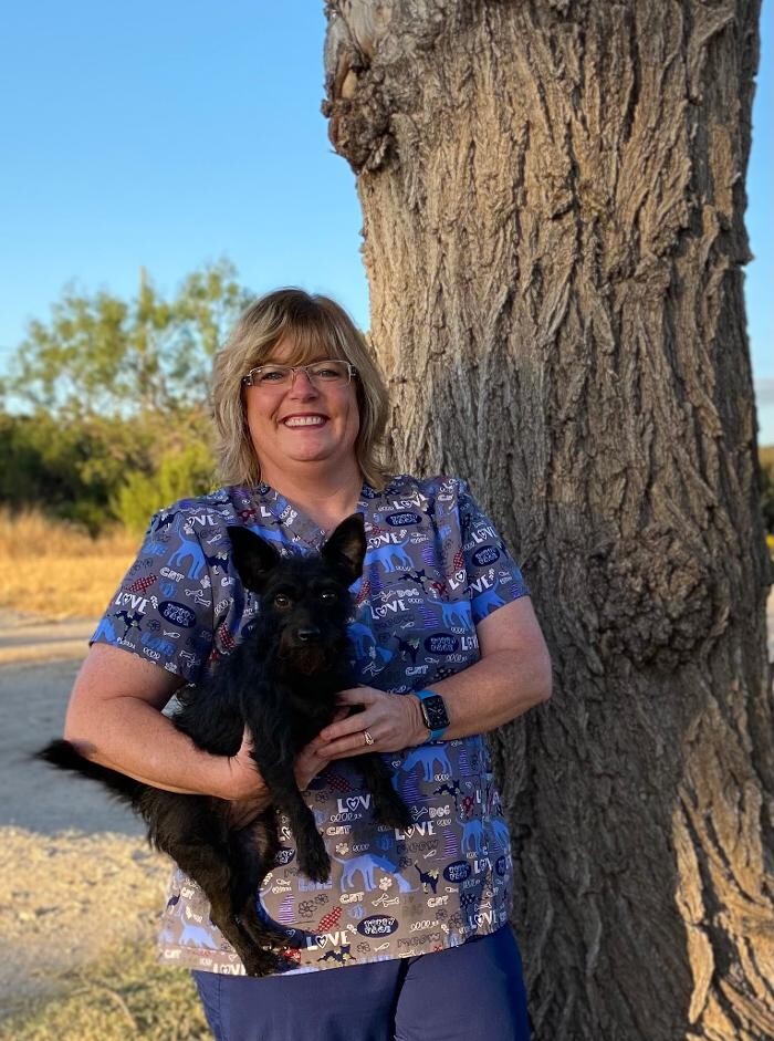 Images Highland Animal Hospital