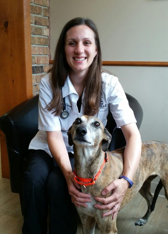 Images Greenville Animal Hospital