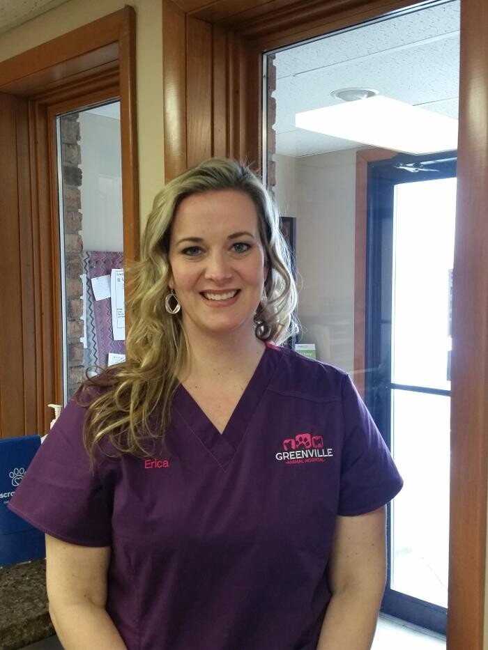 Images Greenville Animal Hospital