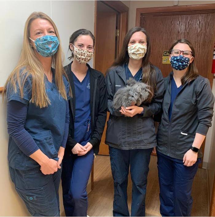 Images Greenville Animal Hospital