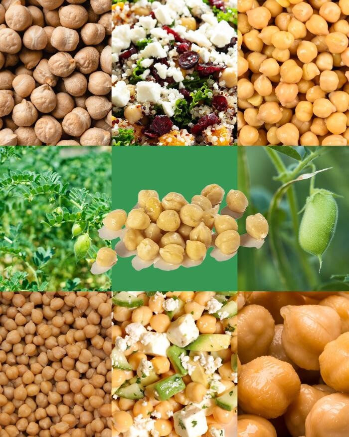 Images Hummus Republic