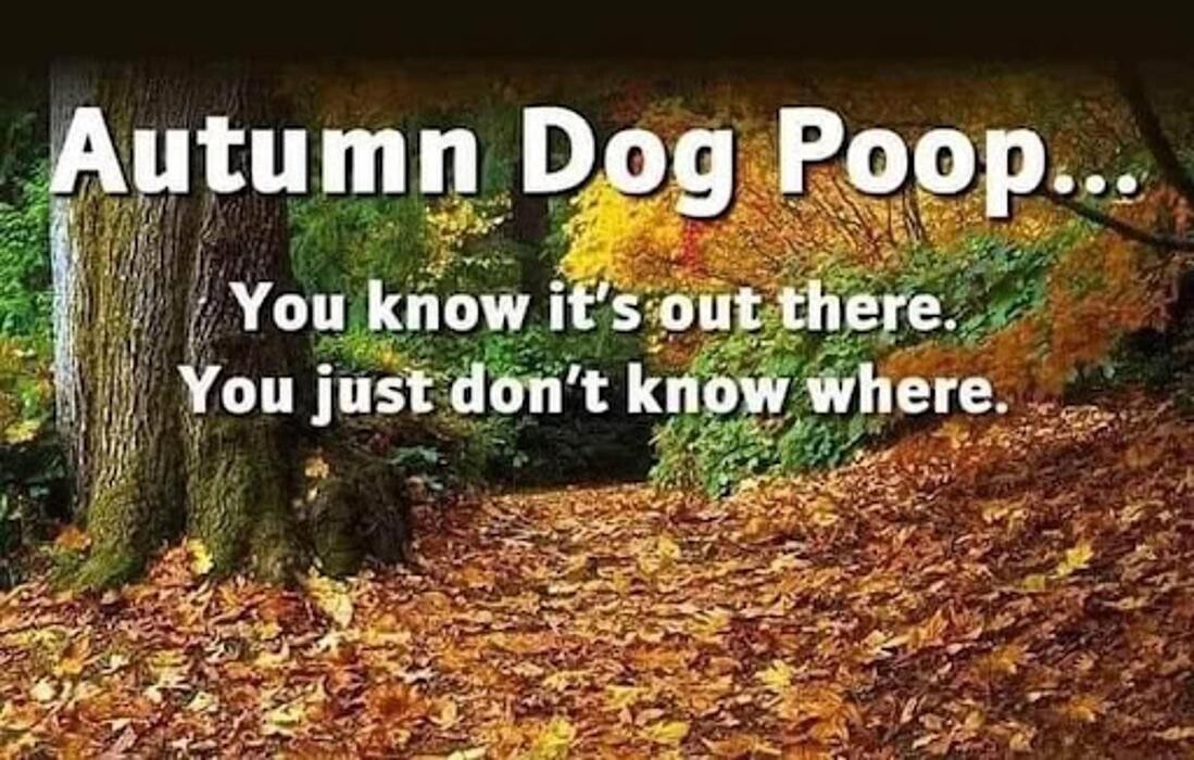 Images Poo Patrol Pros