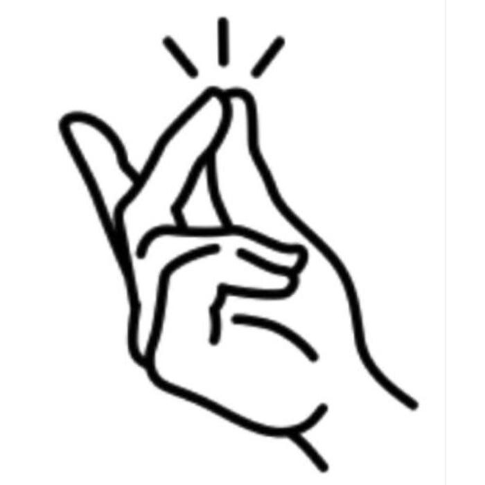 Snap Home Solutions Logo