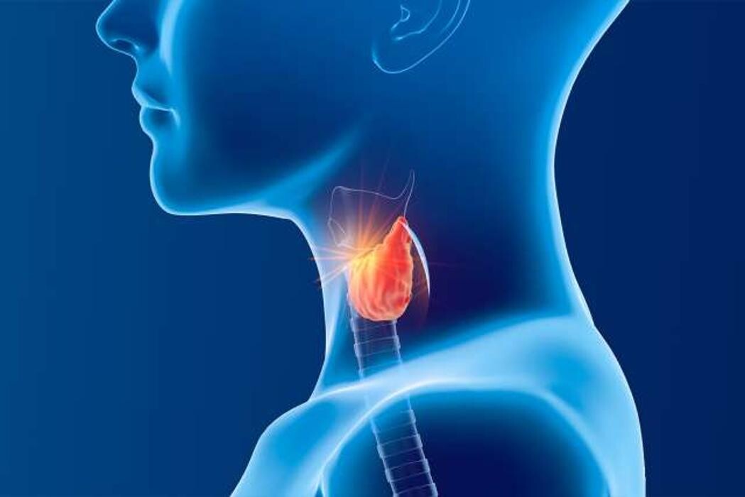 Images Ally Endocrinology