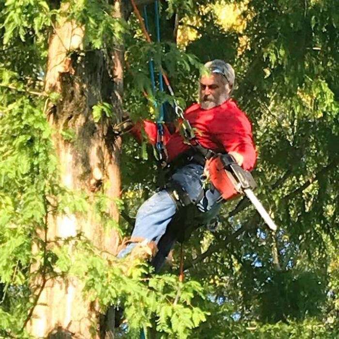 Images B.G. Tree Care