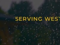 Website Screenshot Dreamspell Gardens