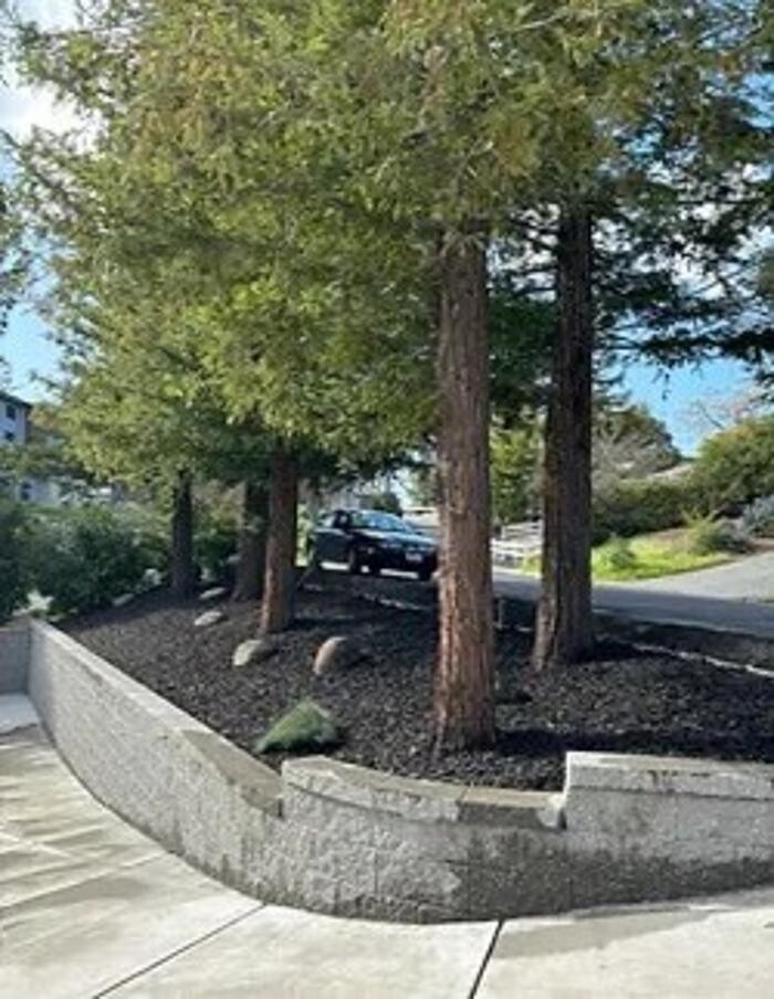 Images AHS Landscaping