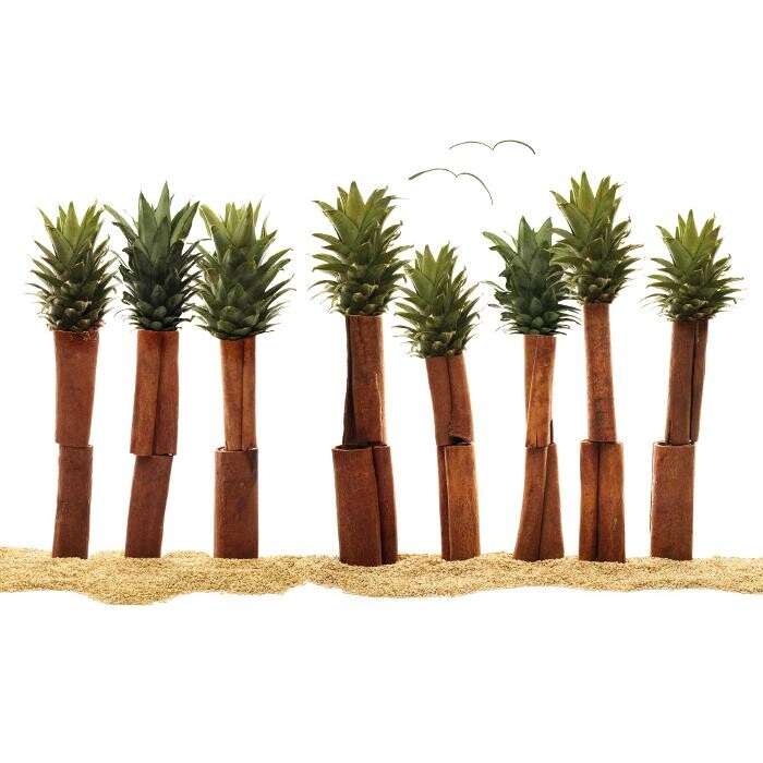 Images Pret A Manger