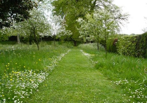 Images A Path of Care Preferred Pathways - Hugo