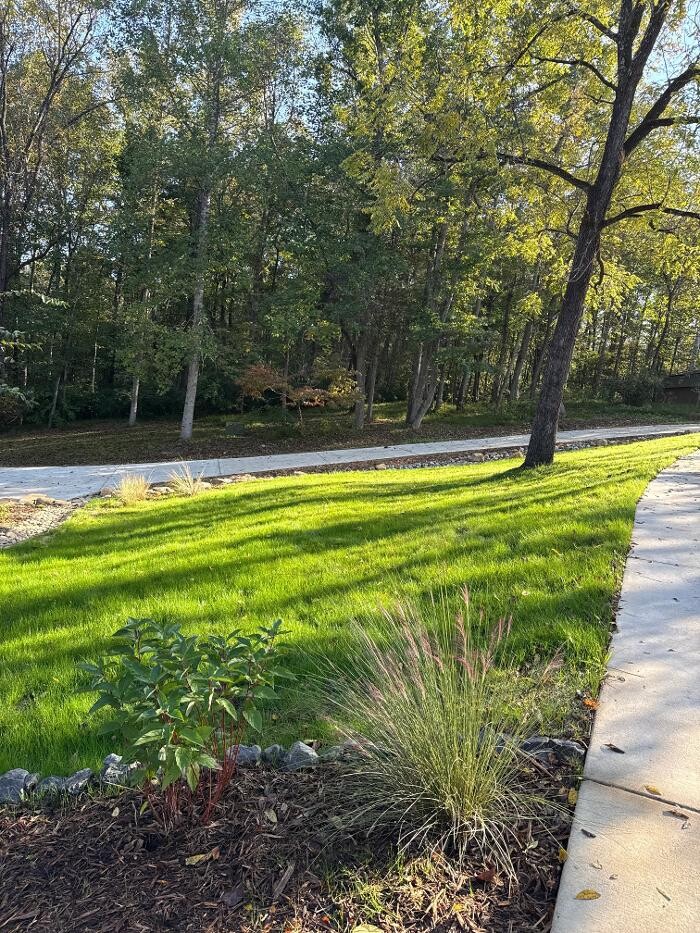 Images Casa Verde Landscaping Services