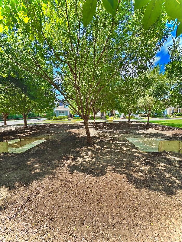Images Casa Verde Landscaping Services
