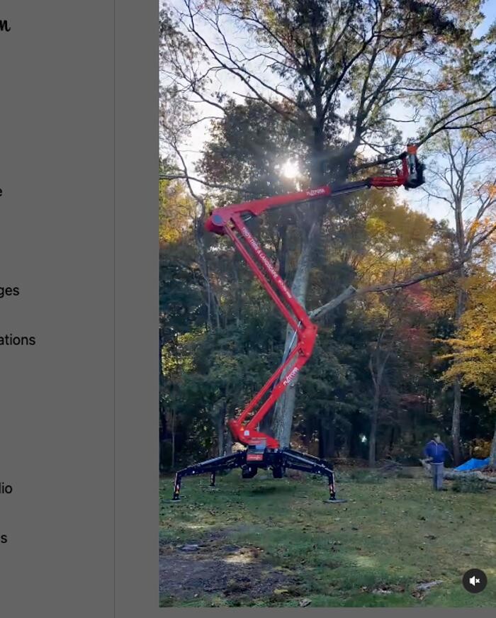 Images Troy Tree & Landscaping