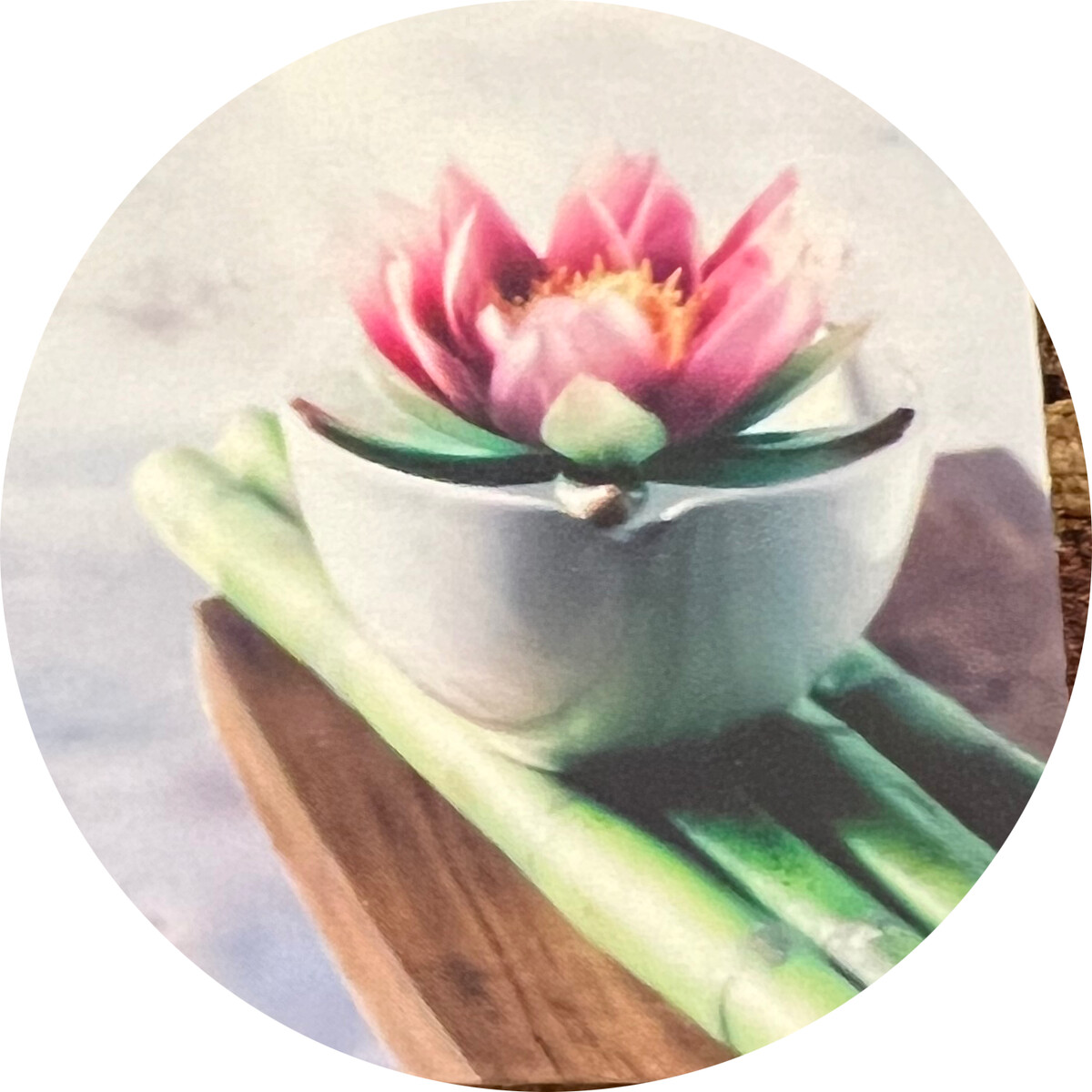 Serenity Spa Logo
