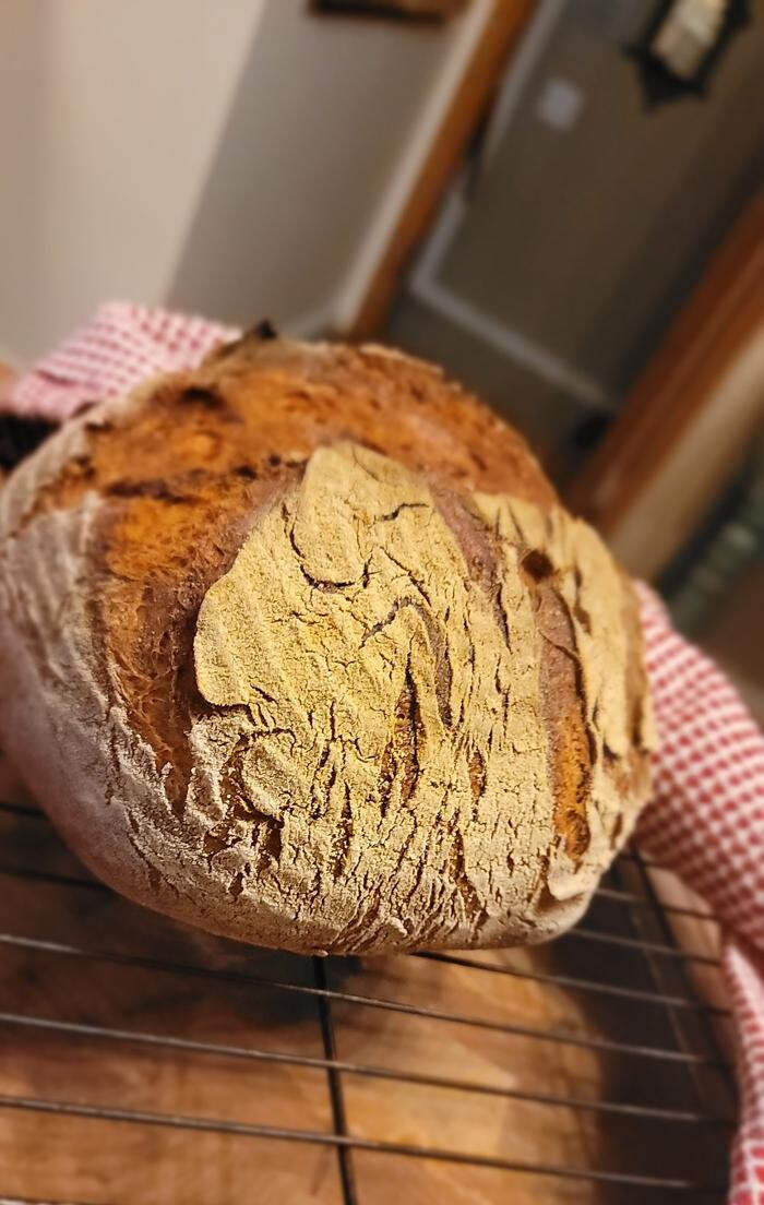 Images Edward Jones - Financial Advisor: Laura Emerson Slusher, AAMS