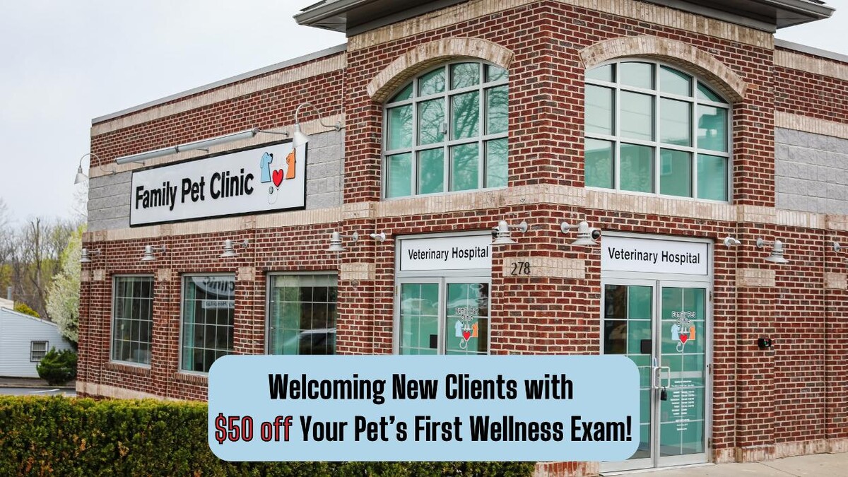 Images Family Pet Clinic Horsham