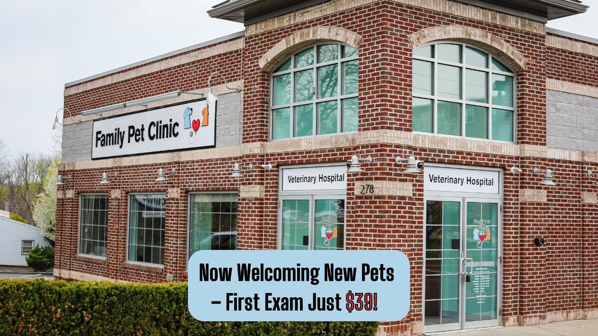 Images Family Pet Clinic Horsham