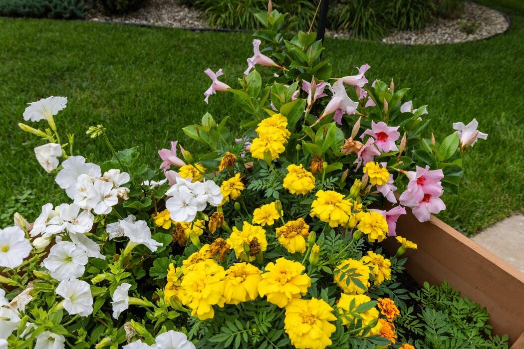 Images Prairie Meadows Senior Living