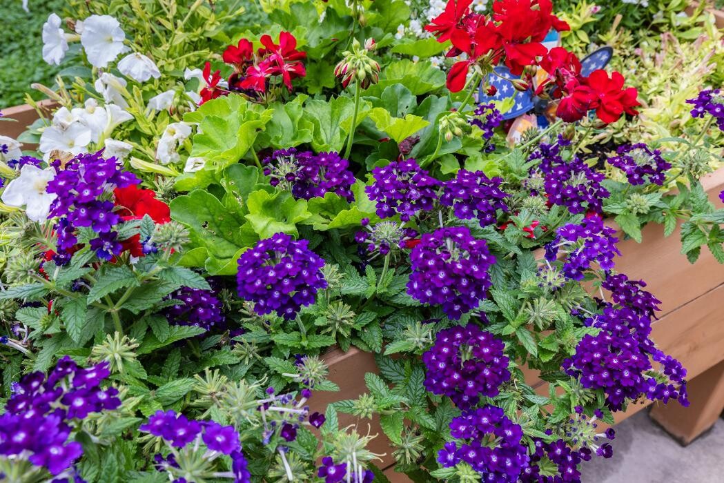 Images Prairie Meadows Senior Living