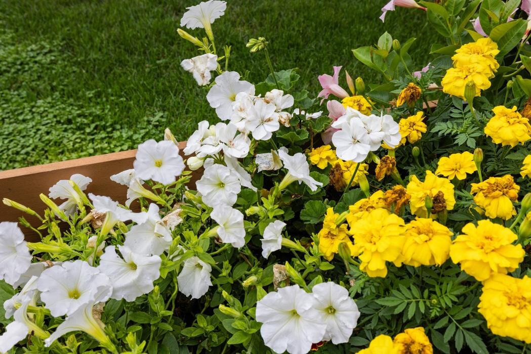 Images Prairie Meadows Senior Living