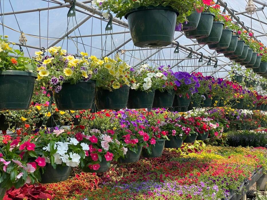 Images Bard Nurseries Inc.