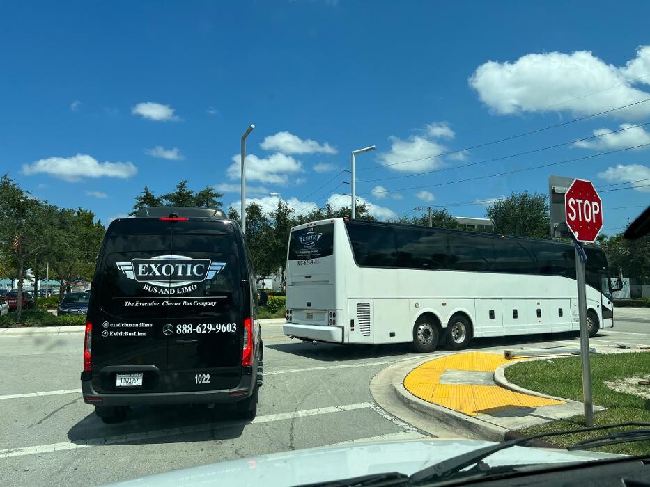 Images Exotic Coach Lines Worldwide
