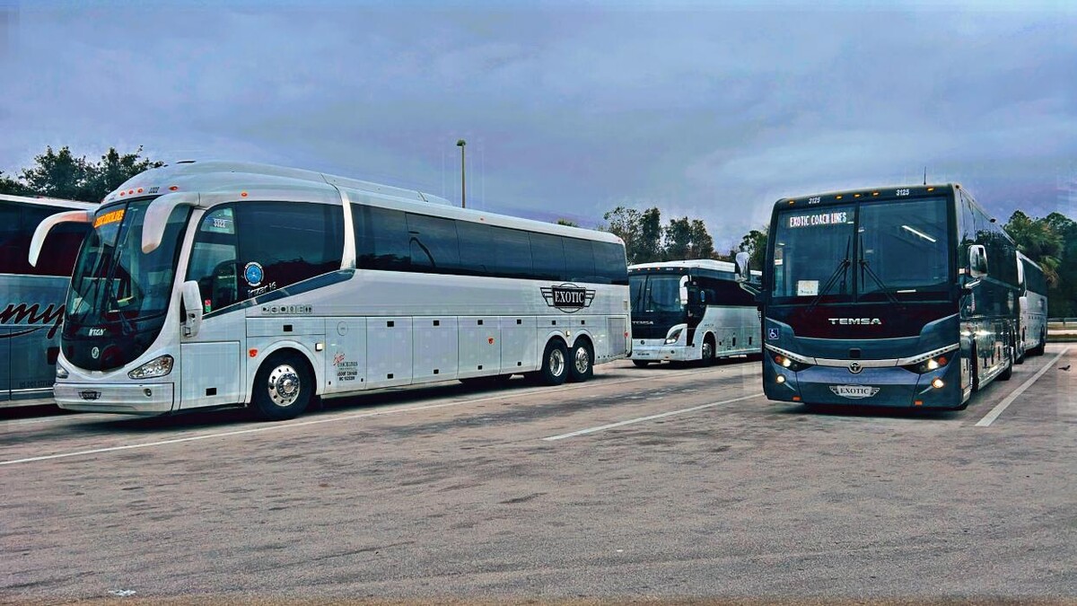 Images Exotic Coach Lines Worldwide