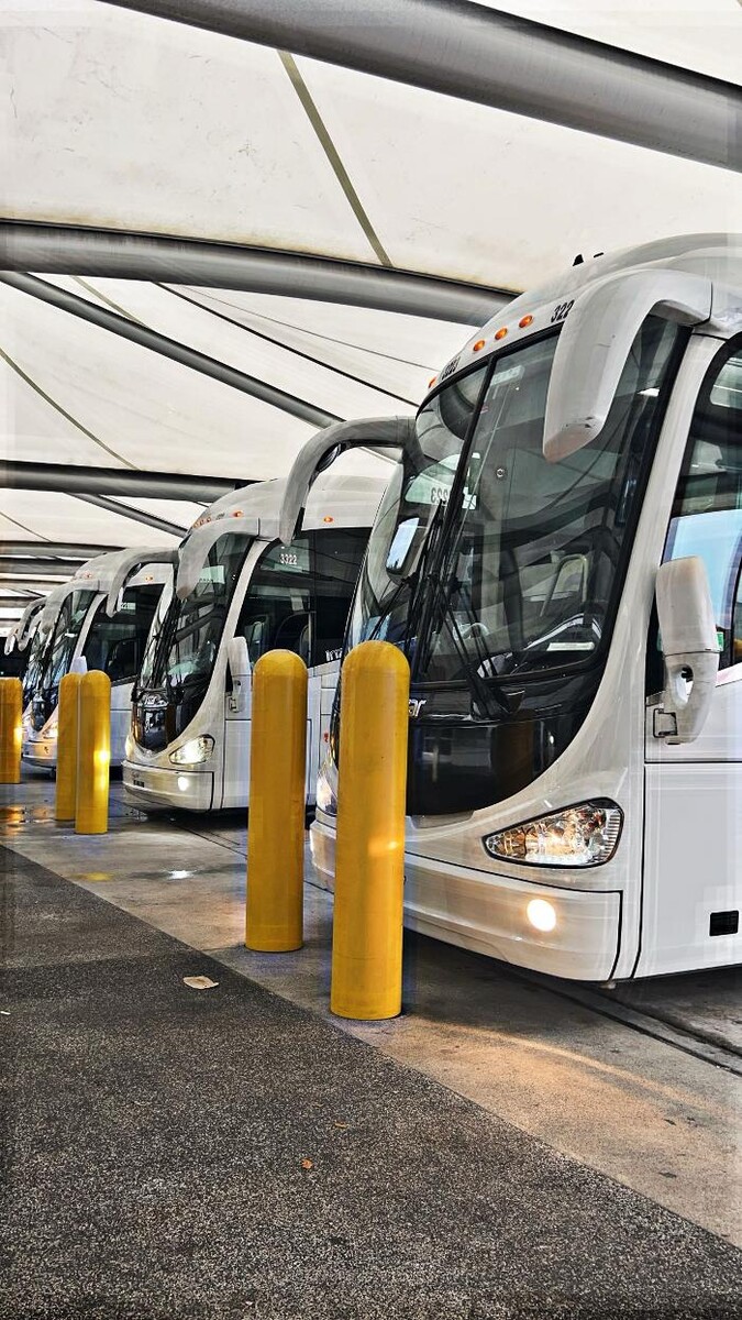 Images Exotic Coach Lines Worldwide