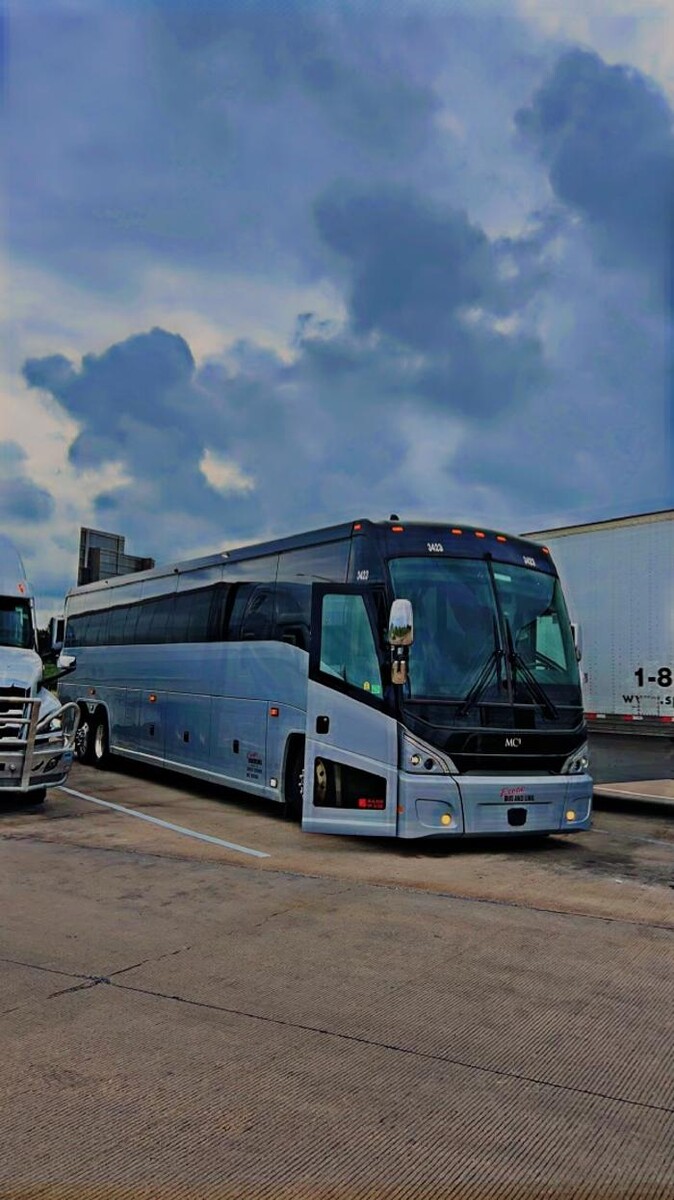 Images Exotic Coach Lines Worldwide