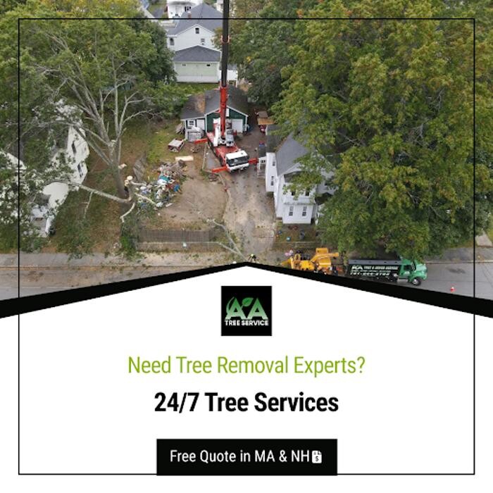 Images AA Tree Service