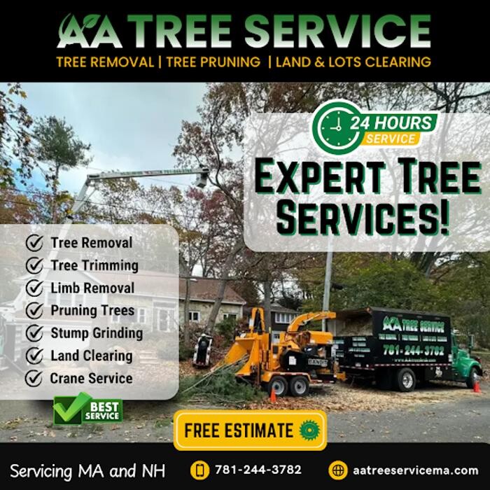 Images AA Tree Service