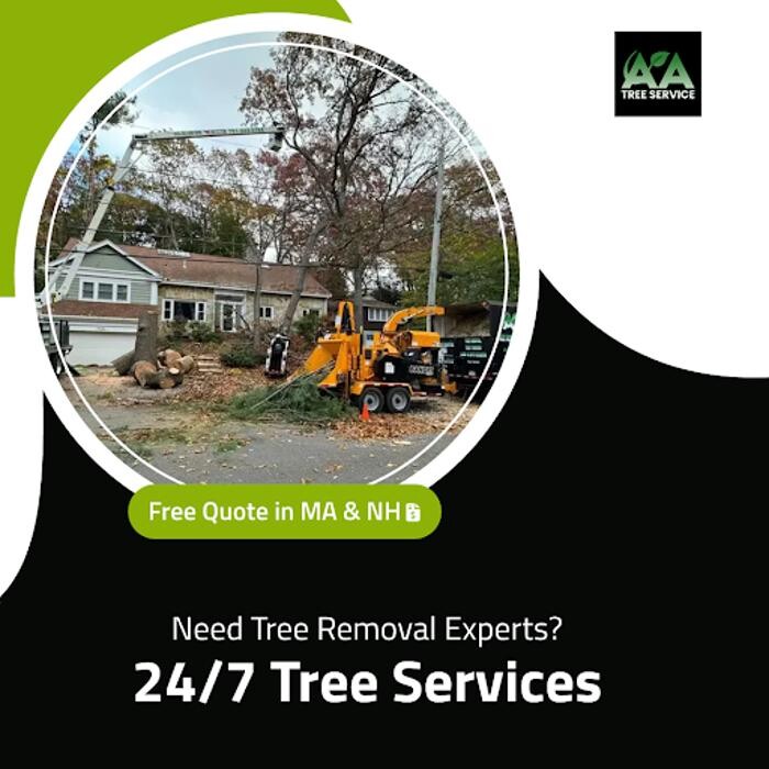 Images AA Tree Service