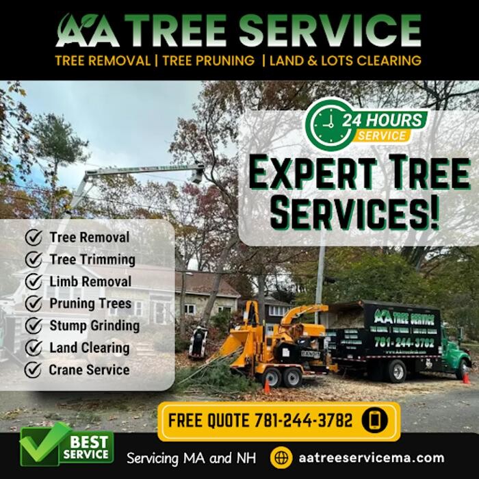 Images AA Tree Service