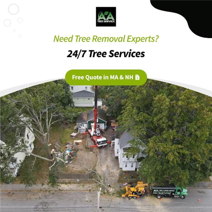 Images AA Tree Service