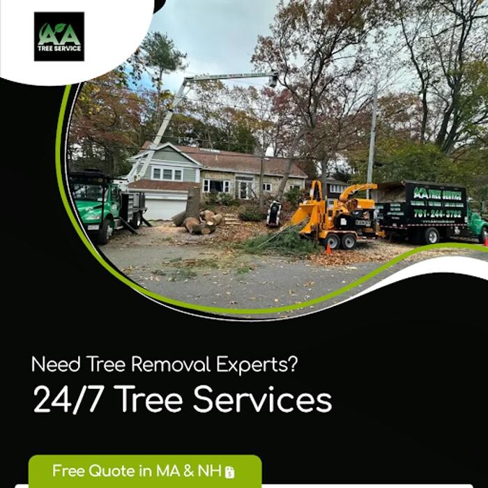 Images AA Tree Service