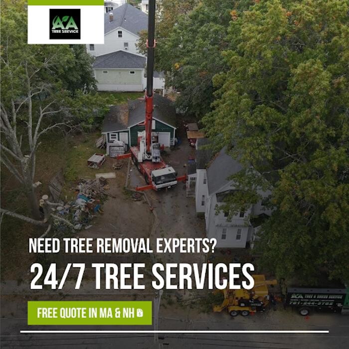 Images AA Tree Service