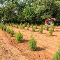 Images Stadler Nurseries