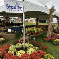Images Stadler Nurseries