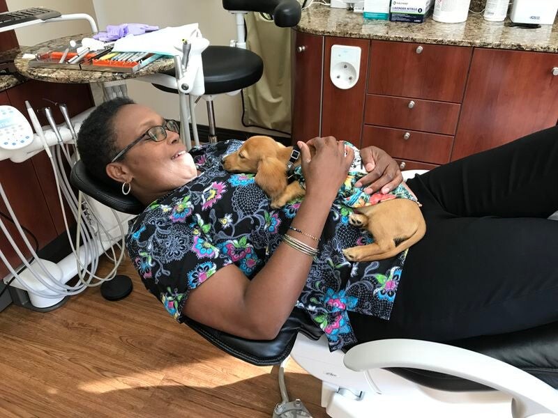 Images NorthStar Dentistry For Adults