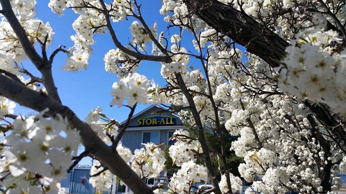 Images Stor-All Gardnerville Ranchos