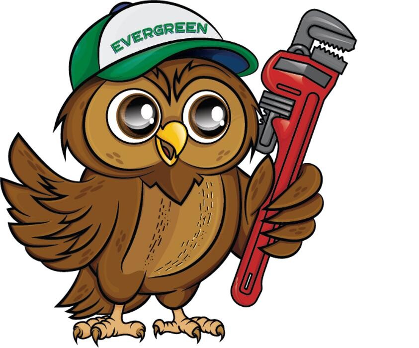 Images Evergreen Plumbing & Drains