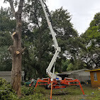 Images Redbird Tree Service
