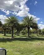 Images Redbird Tree Service