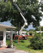 Images Redbird Tree Service