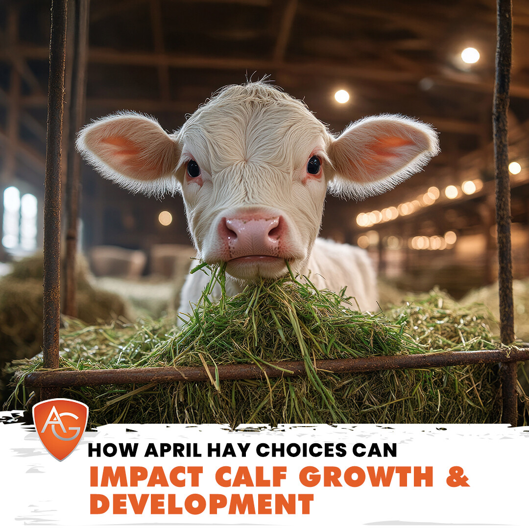 Images All Around Ag, LLC