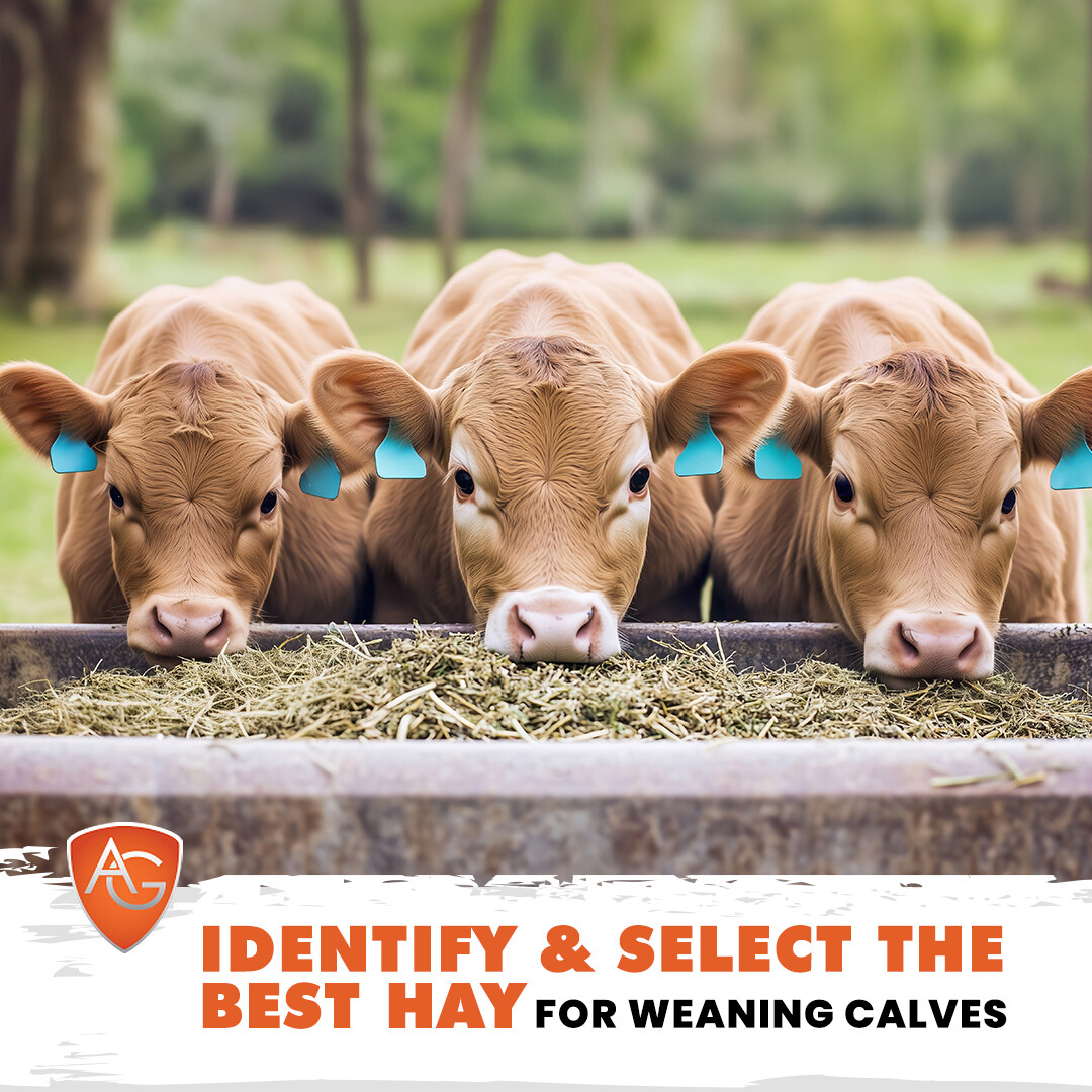 Images All Around Ag, LLC