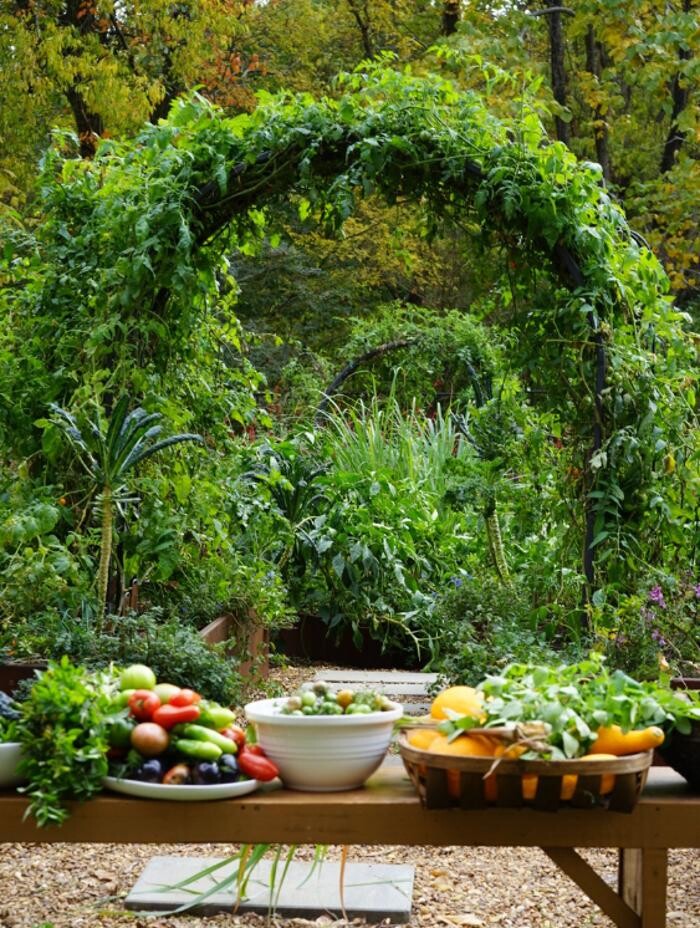Images Plant Love LLC