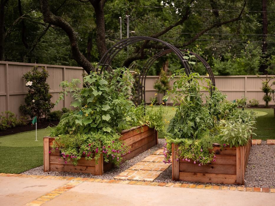 Images Plant Love LLC