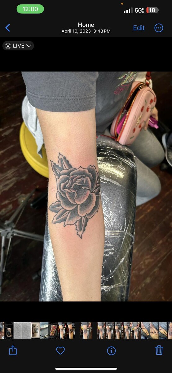 Images Franklins Tattoo and Supply