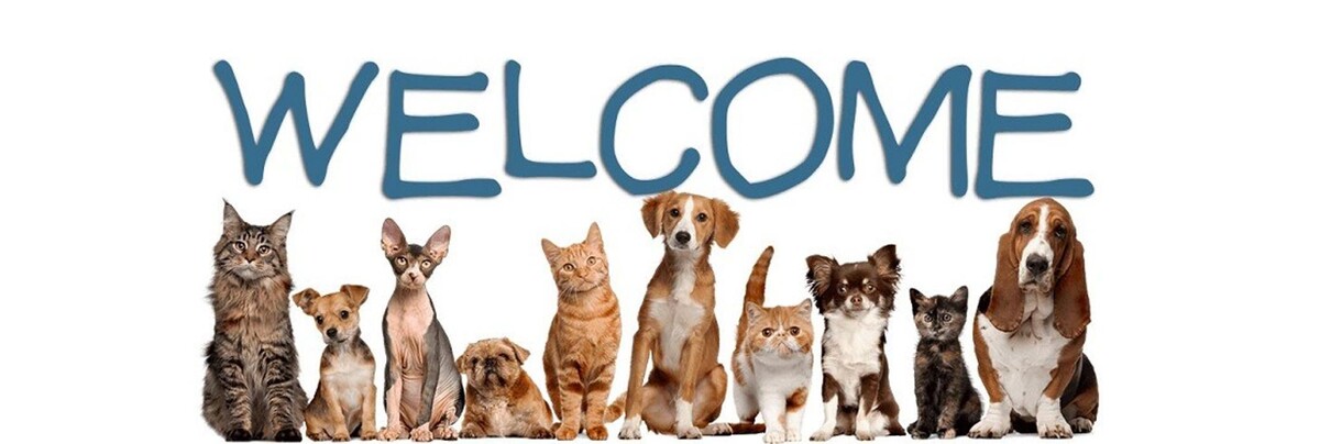 Images Palms West Veterinary Hospital - General Practice Urgent Care